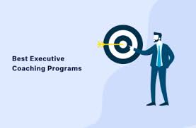 Executive Coach Training Program Living Up to Your Potential